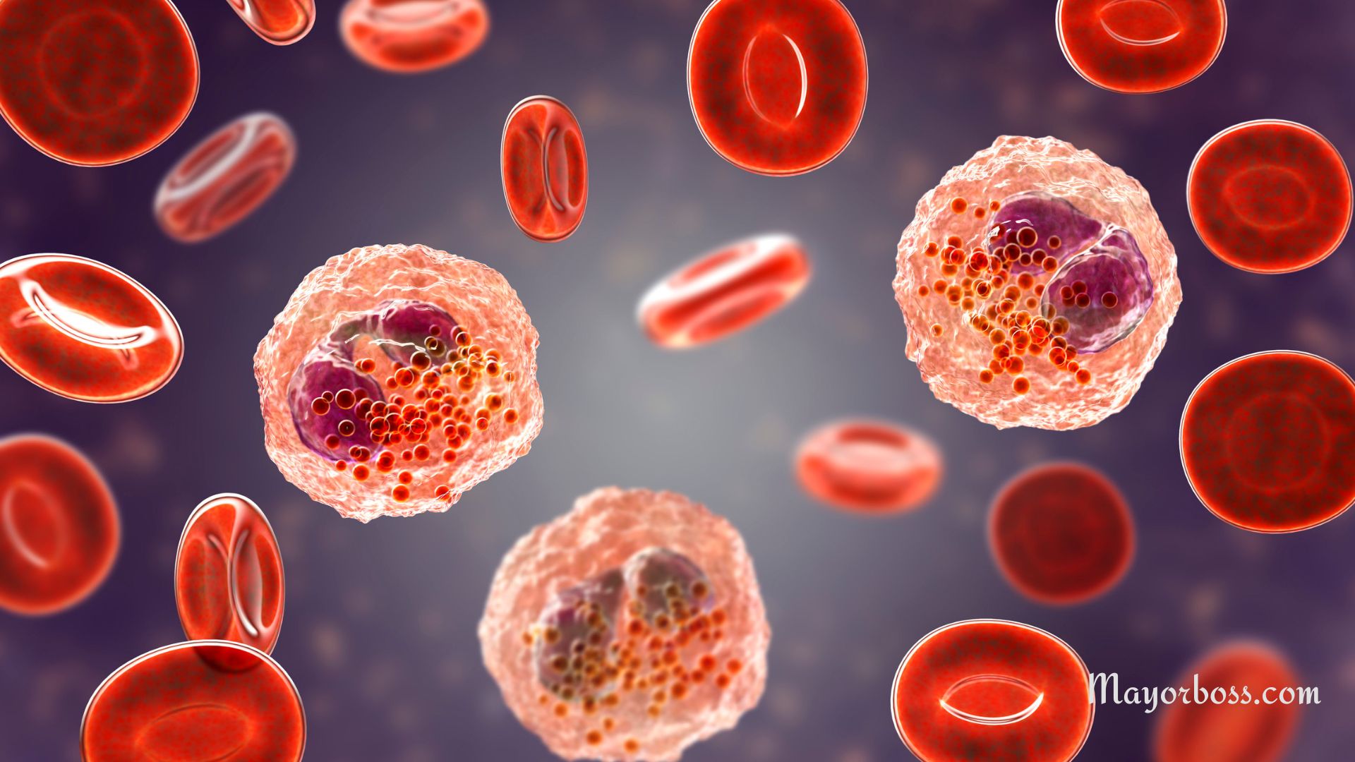 Understanding Leukocytes in Urine: What’s Normal and What’s Not?