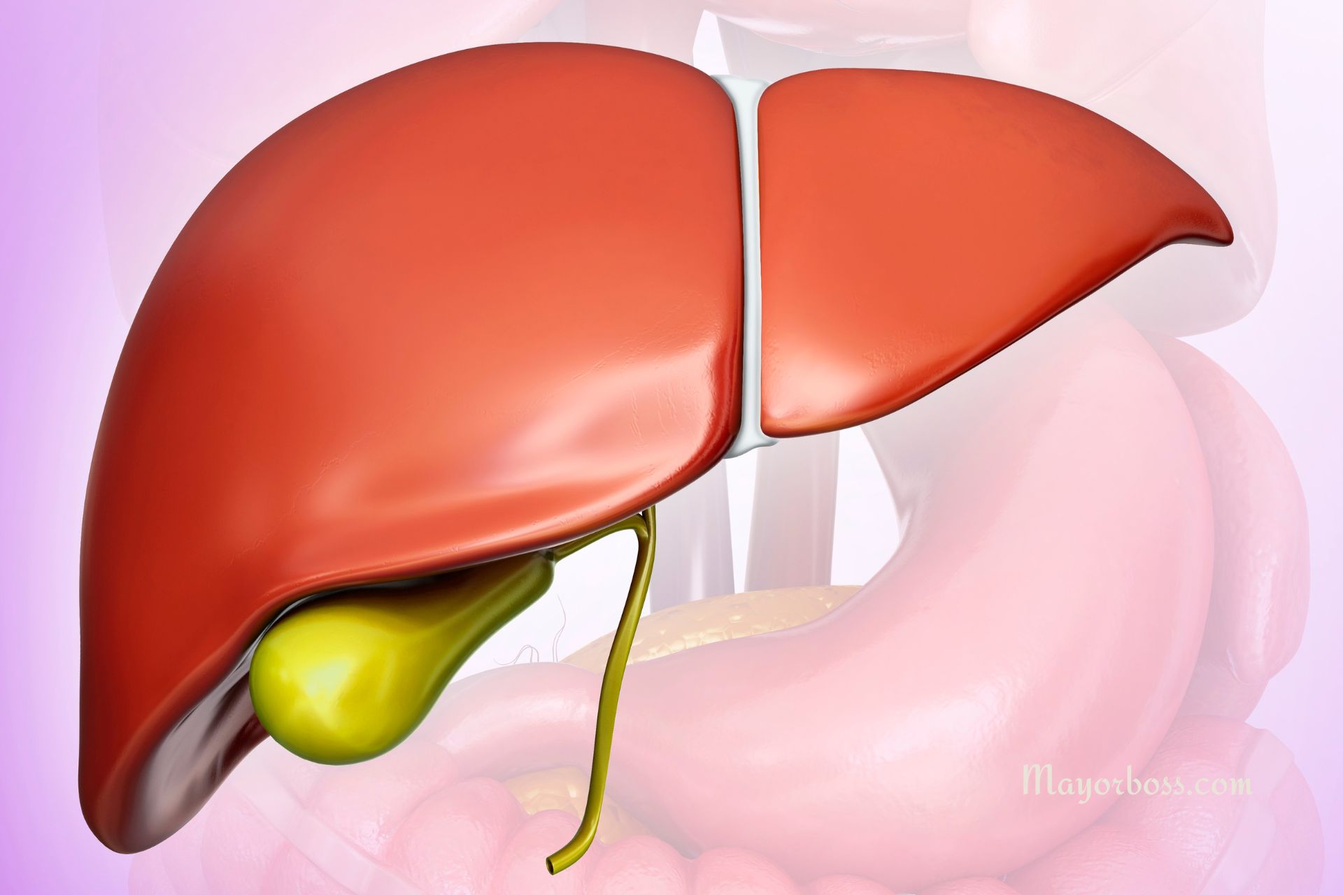 5 Foods that Can Cause Damage to Your Liver (Besides Alcohol)