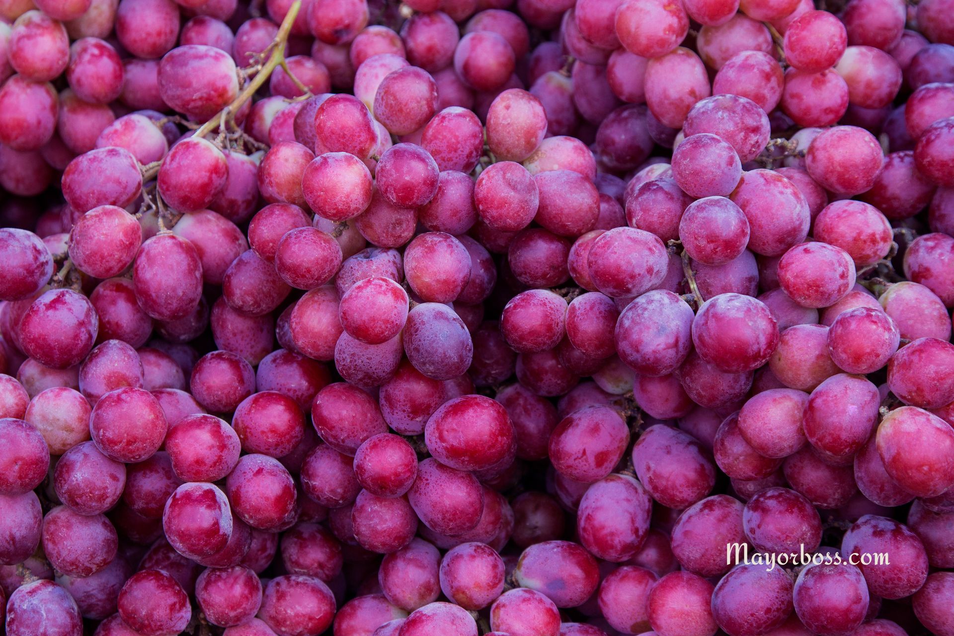 Is it Good to Eat Grape Seeds?