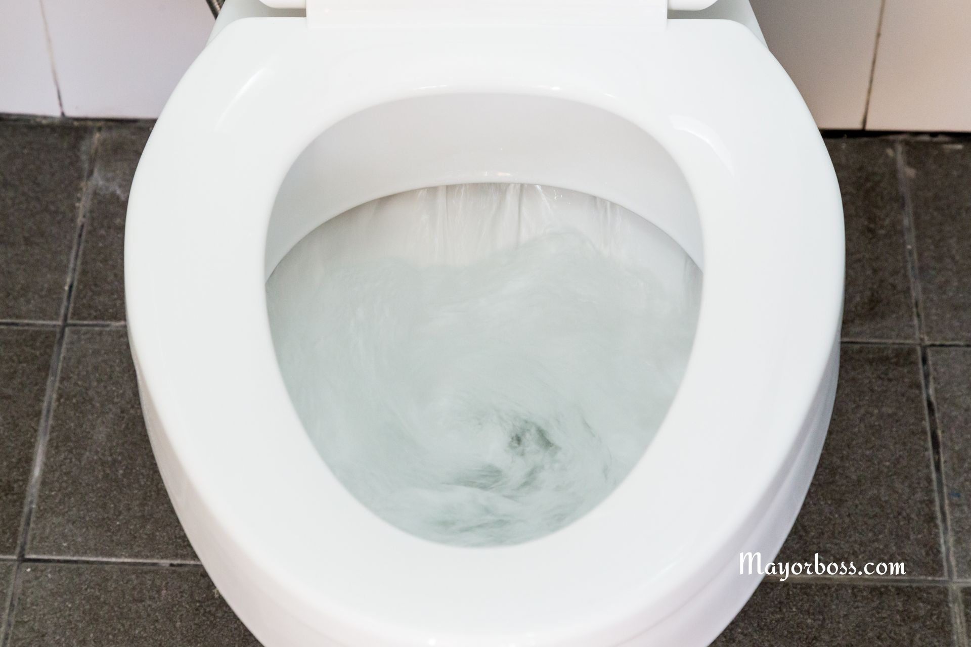 The Gross Truth About Flushing with the Toilet Lid Open