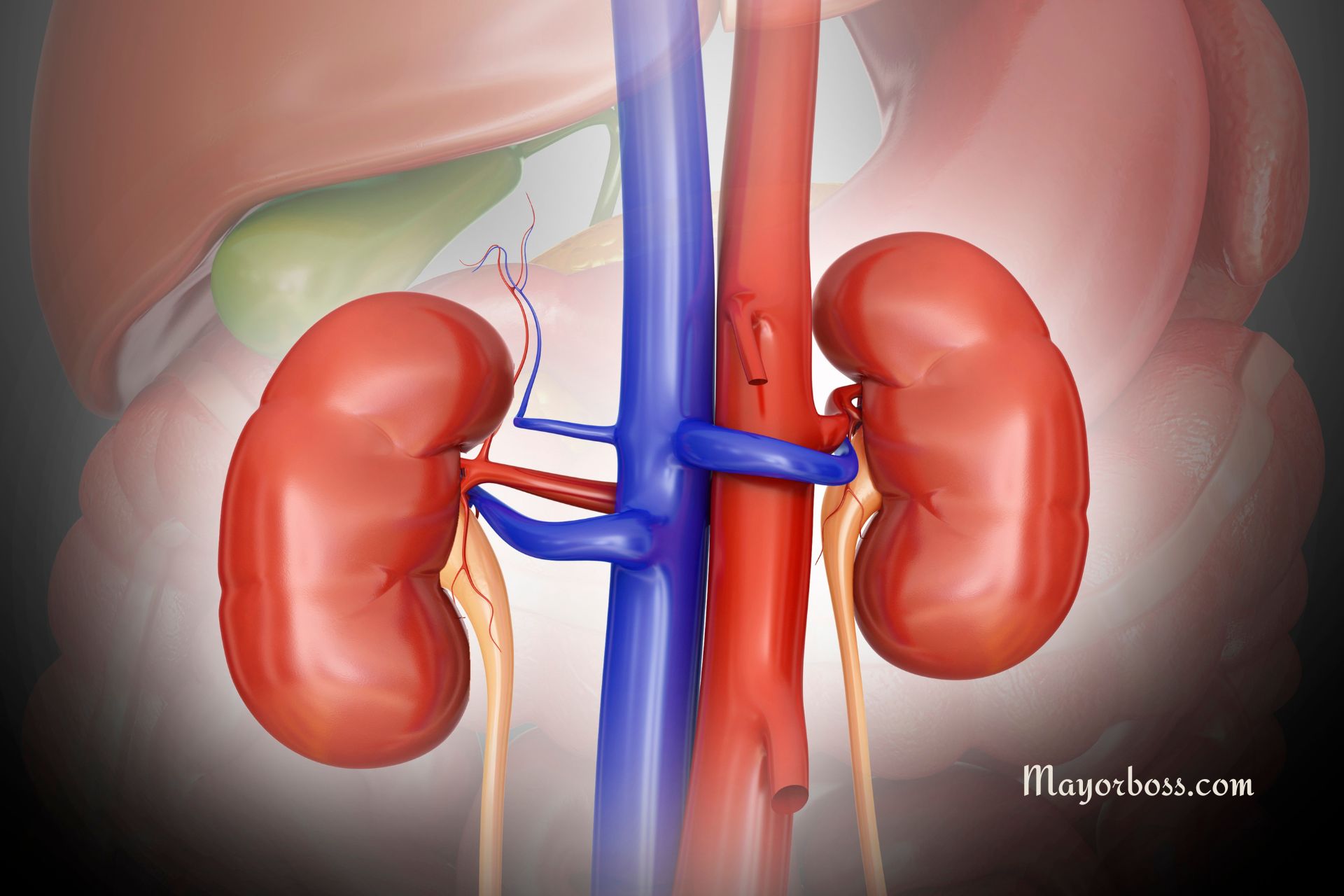 What Is Uremia?