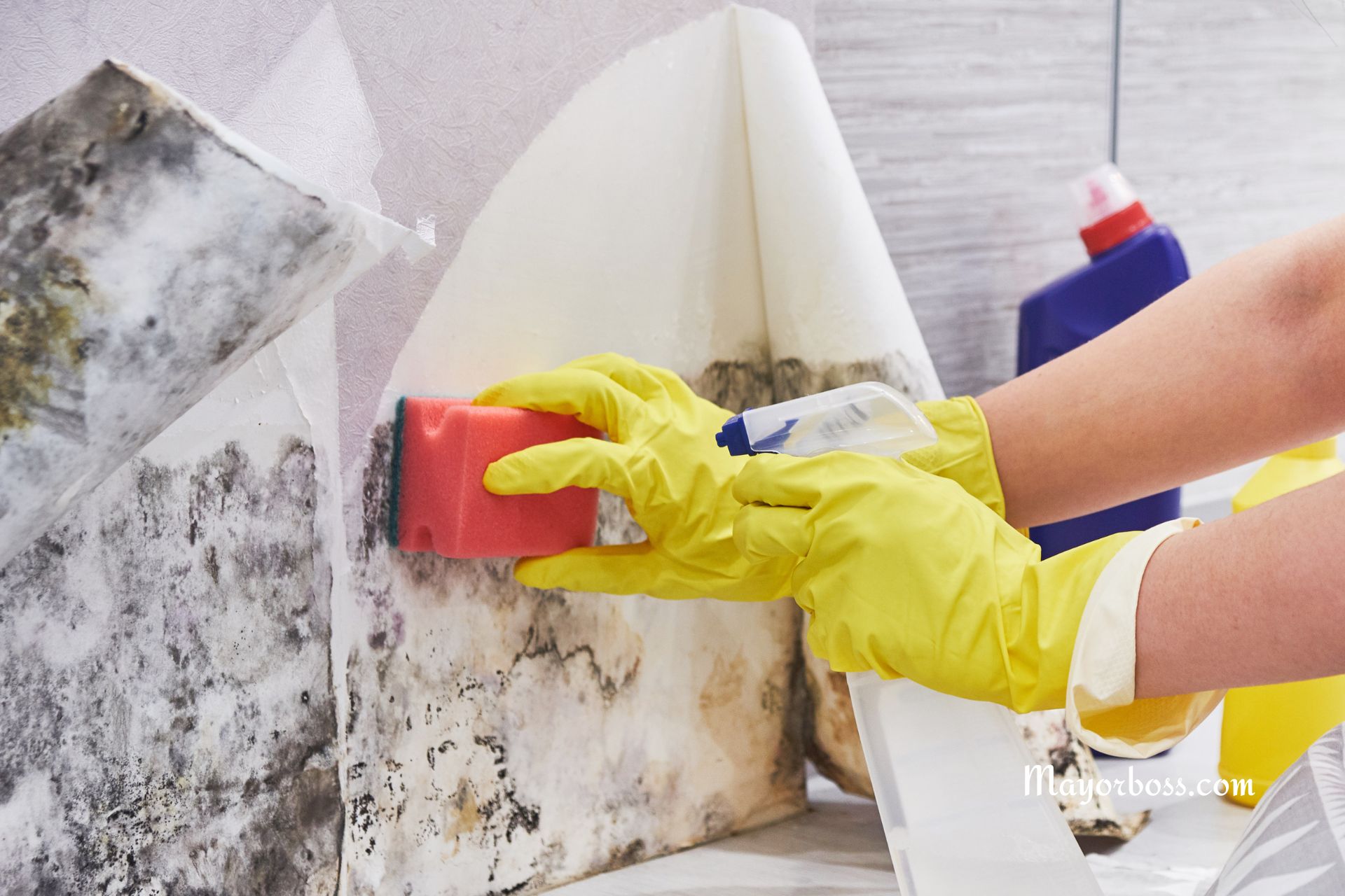 You Use It for Laundry: This Time, Spray It on Your Wall. There Will Be No Trace of Mold