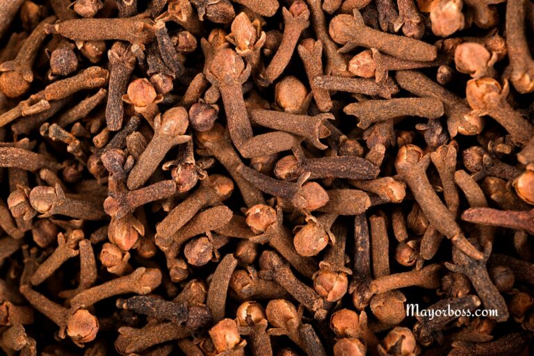 5 Reasons to Chew 2 Cloves Everyday (You’ll Wish You Knew Sooner)