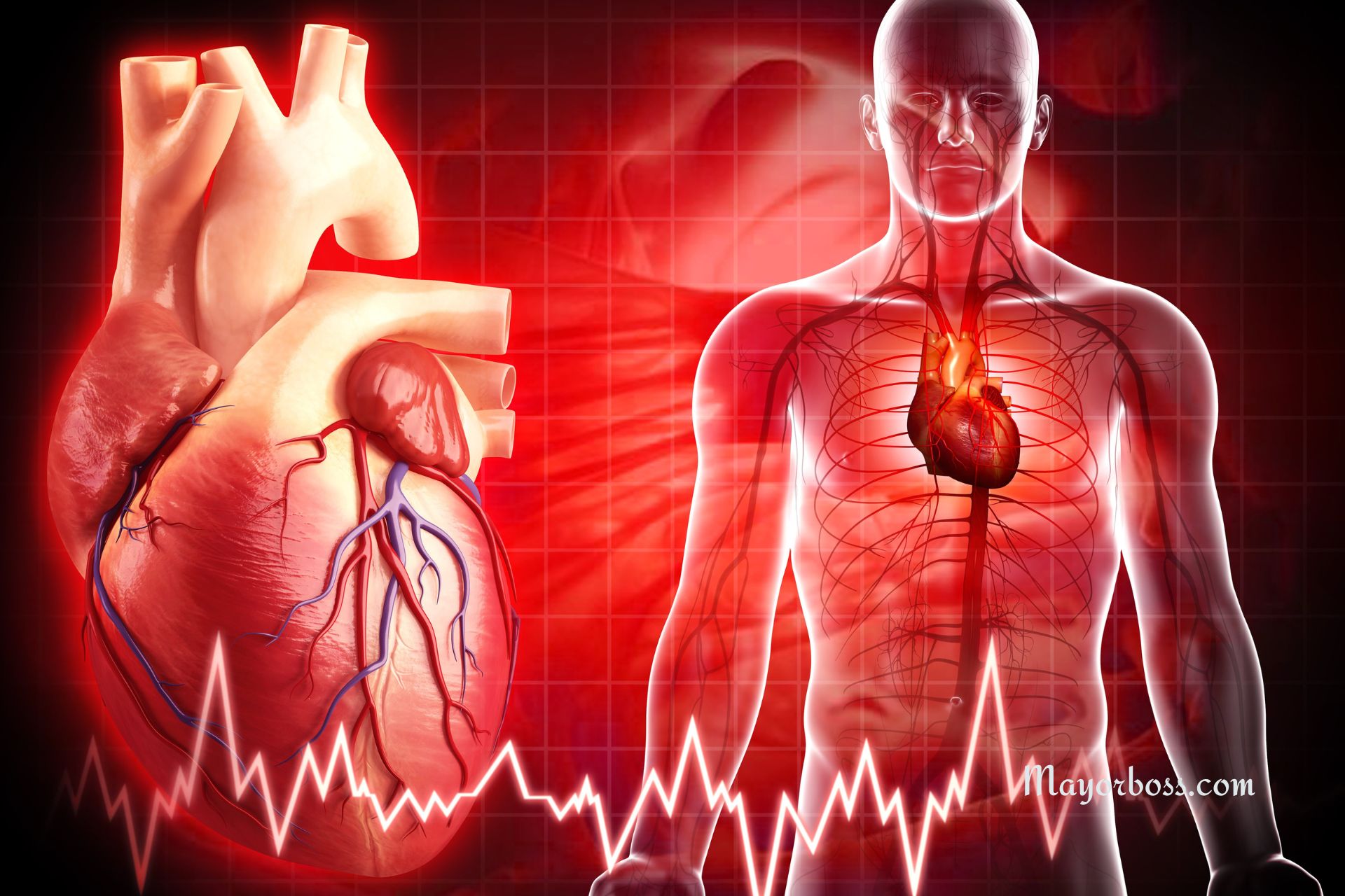 Here’s Why You Should NOT Ignore High Blood Pressure