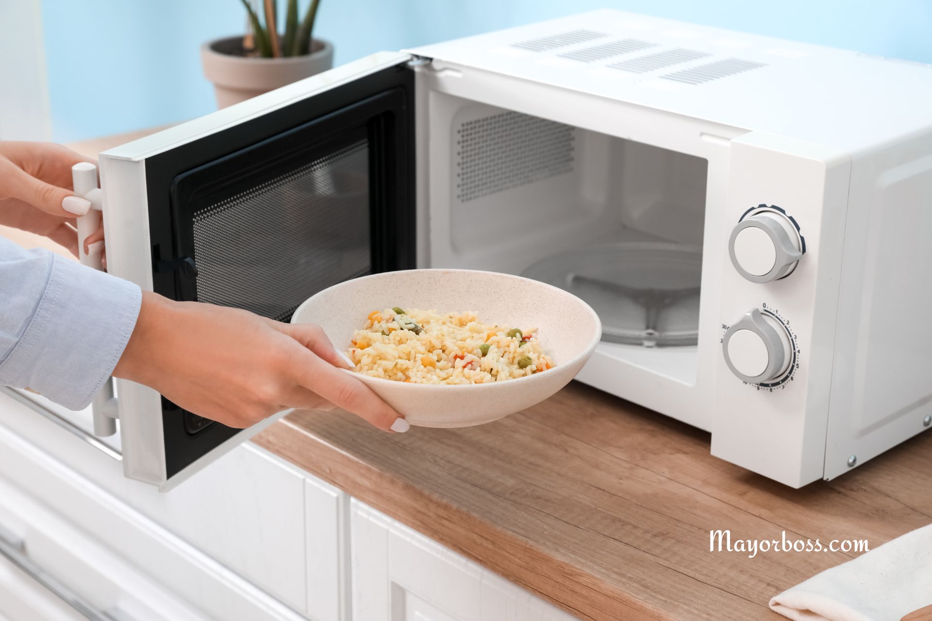 Is it Safe to Stand in Front of a Microwave? Debunking the Myths.