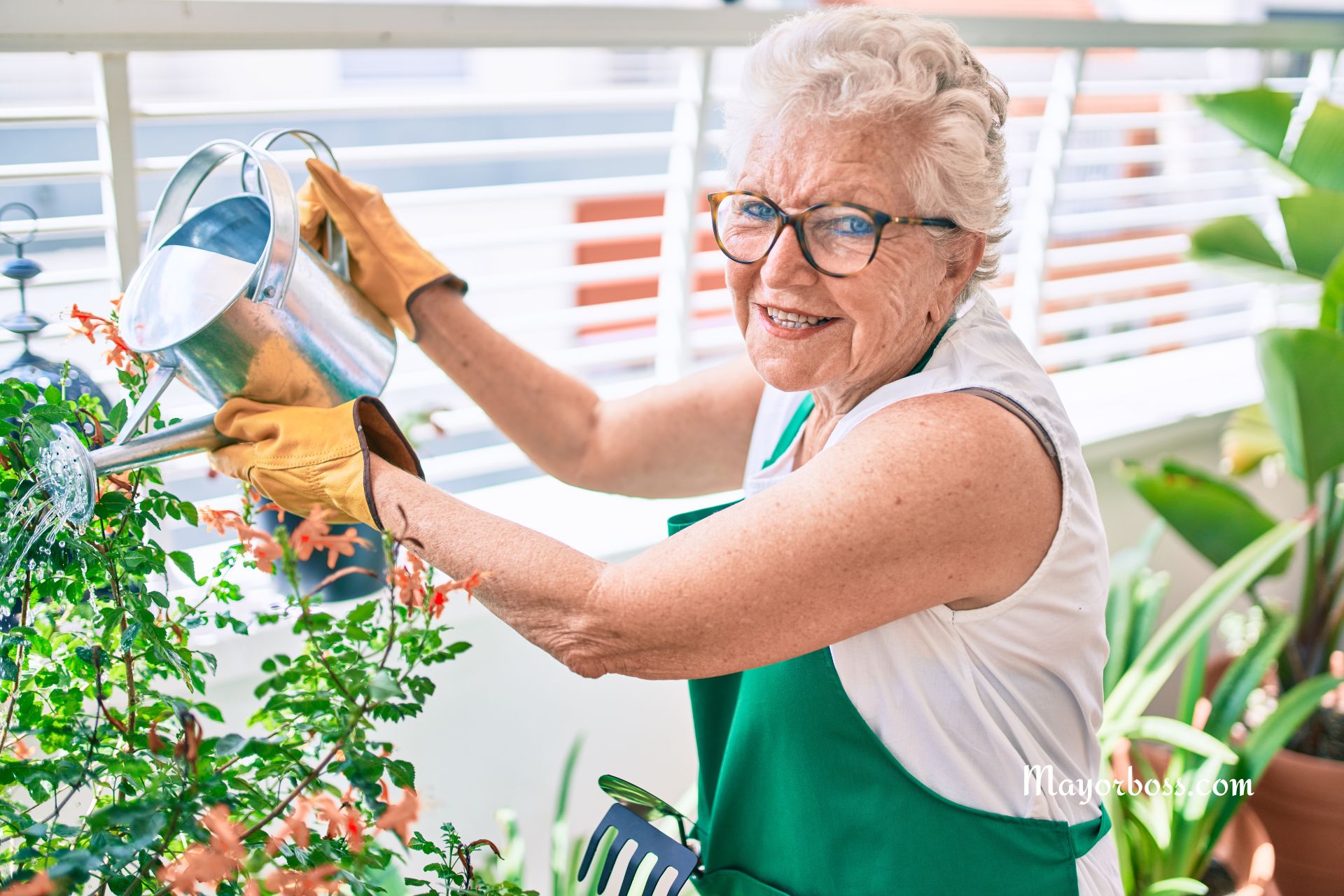 Live to 100? 5 Secrets of the World’s Longest-Living People