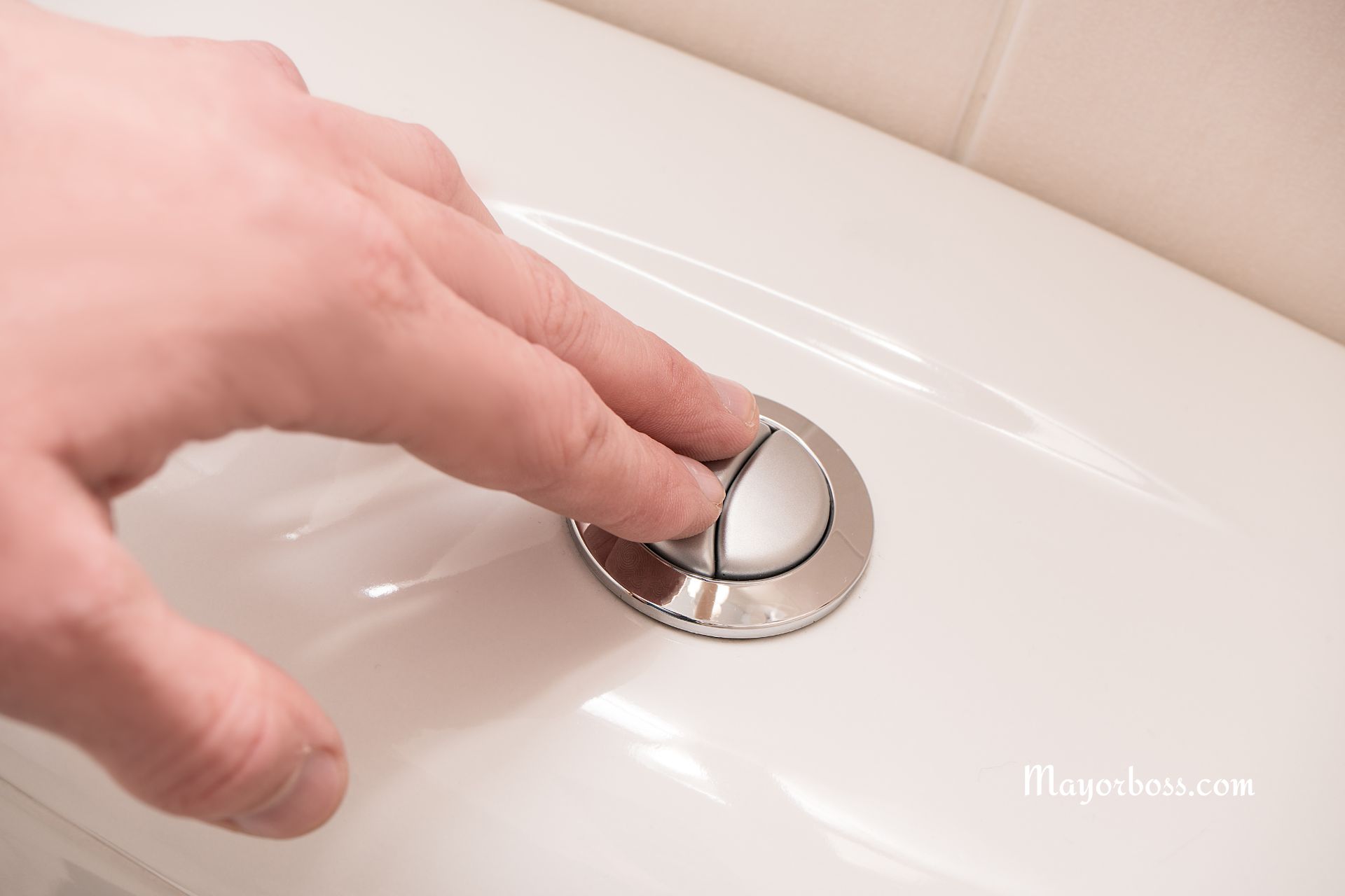 The Surprising Reason Your Toilet Has Two Flush Buttons (One Big and One Small)