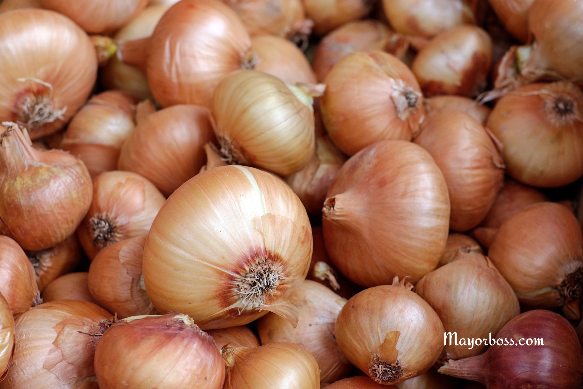 This Crazy Onion Storage Hack Keeps Them Fresh for Months (No Fridge Required!)