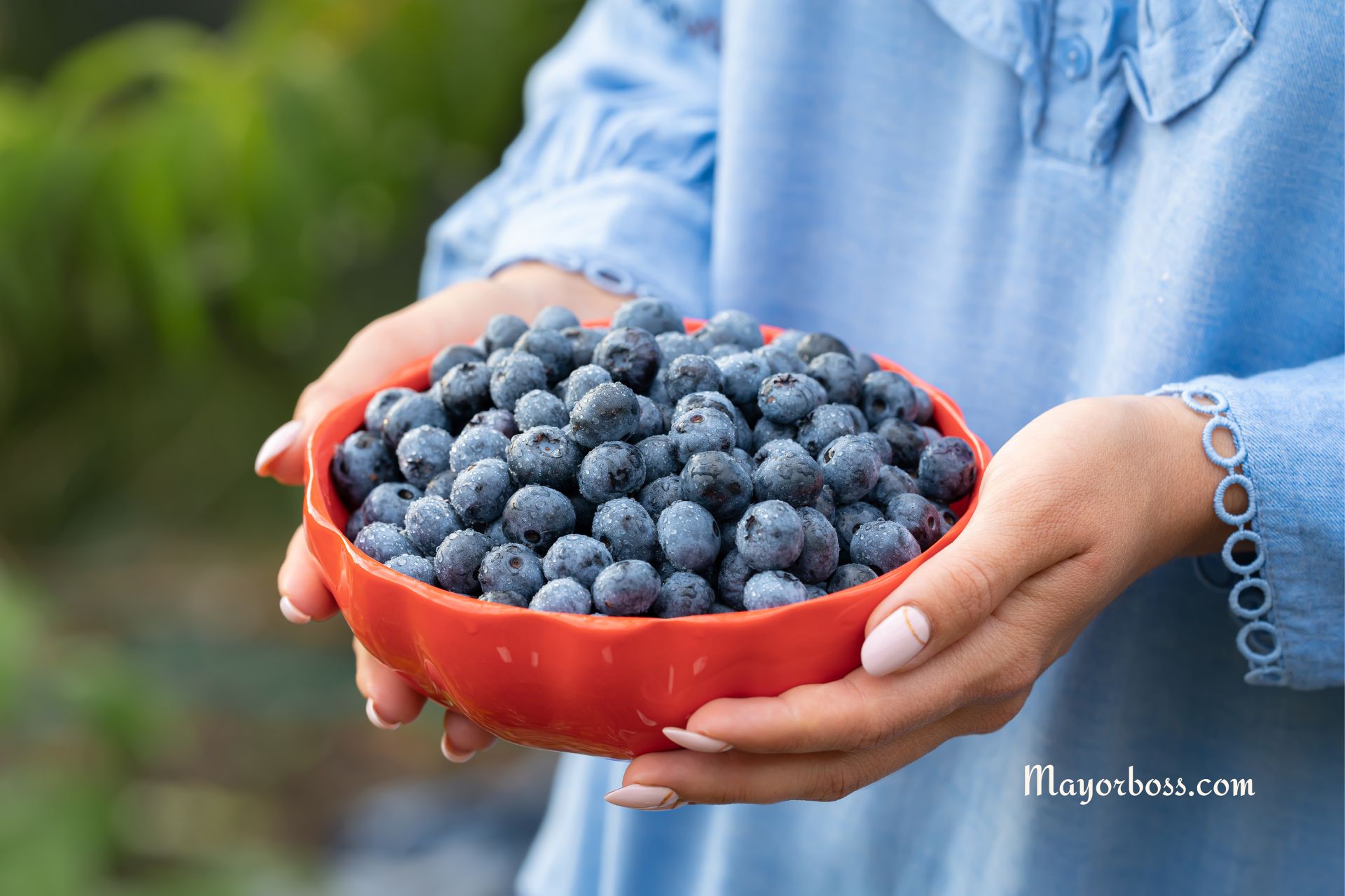 5 Fruits to Combat Aging