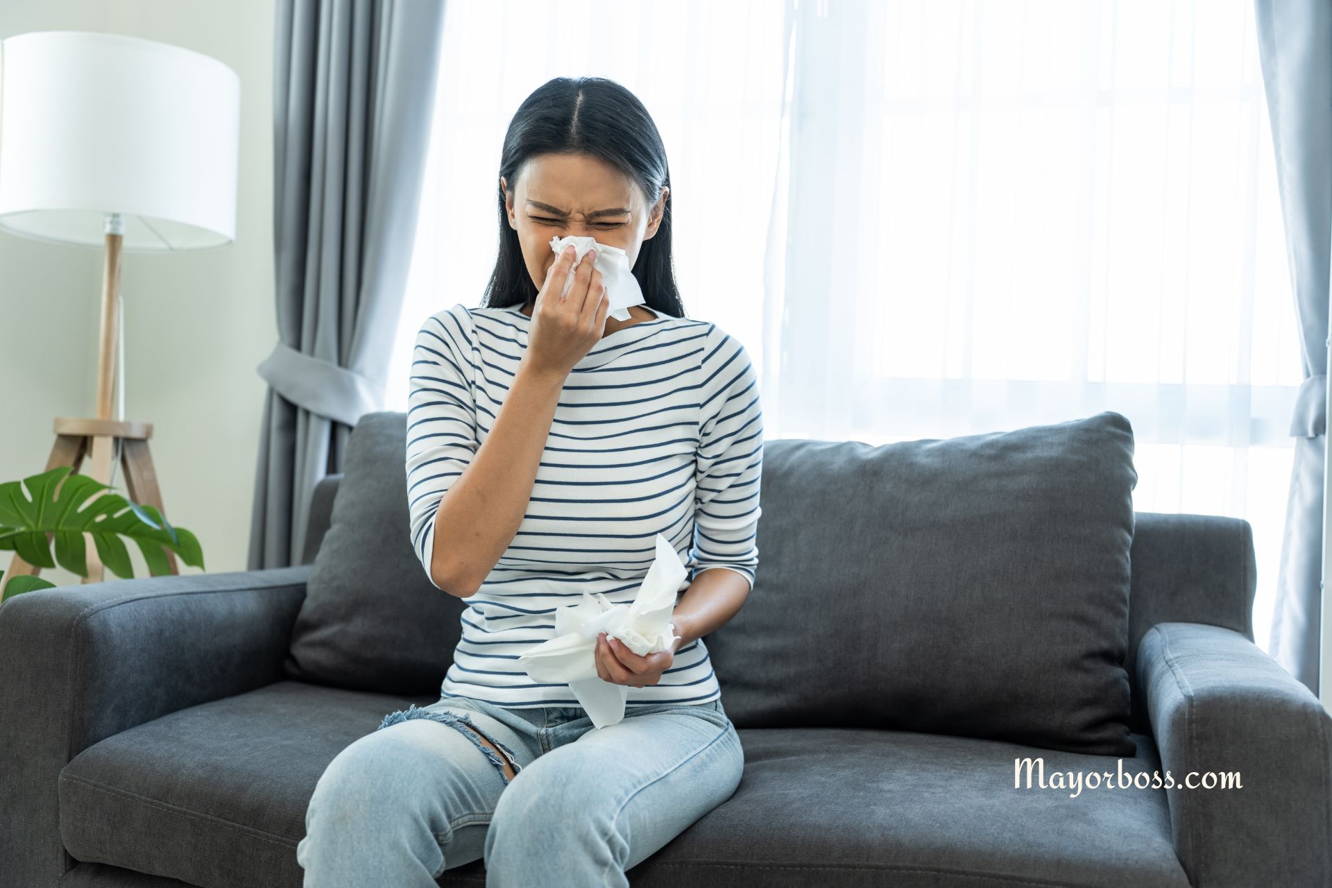 Extreme Pollen Count: How to Protect Yourself as an Allergy Sufferer at Home!