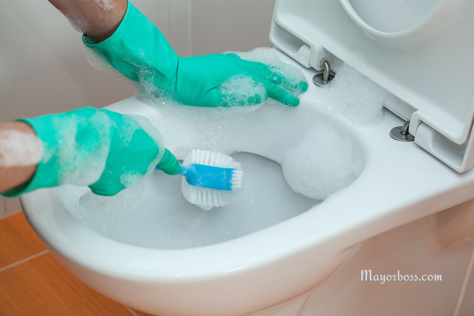 Why You Should Clean Your Toilet with Washing Powder