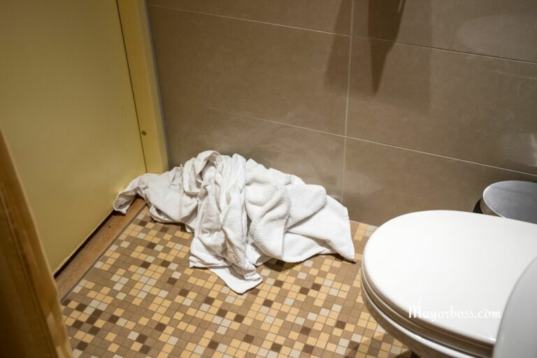 Avoid These 5 Disgusting Bathroom Mistakes