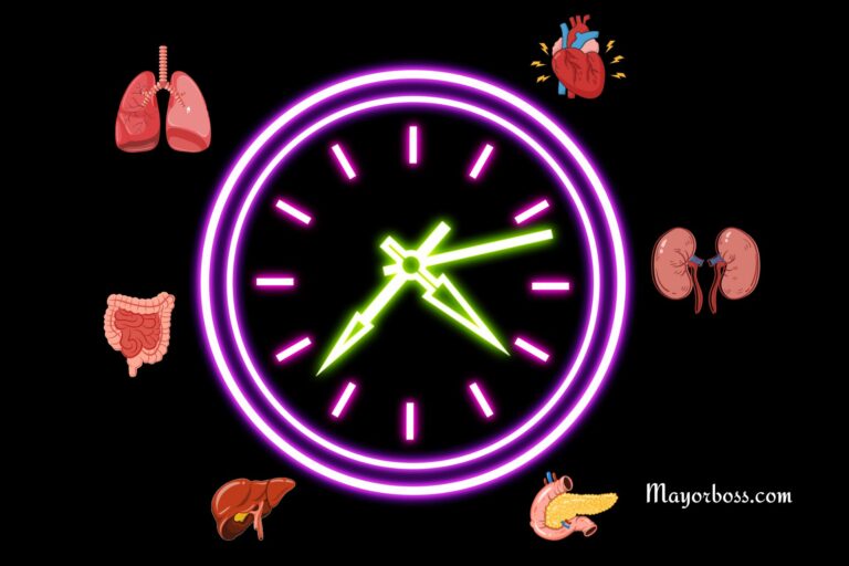 Chinese Organ Clock: What the Time Reveals About Your Health!
