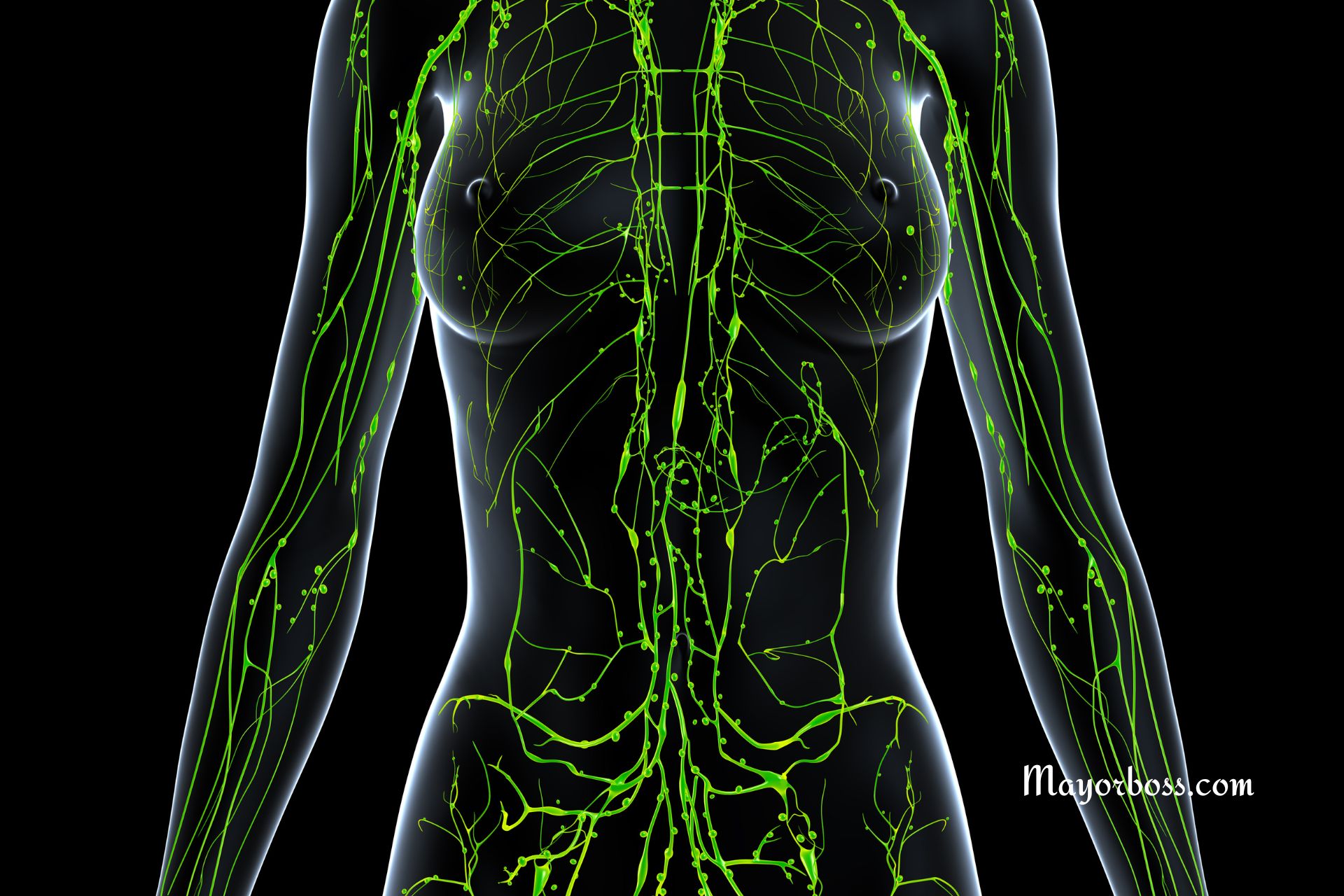 Draining Your Lymph Nodes Will Literally Change Your Life