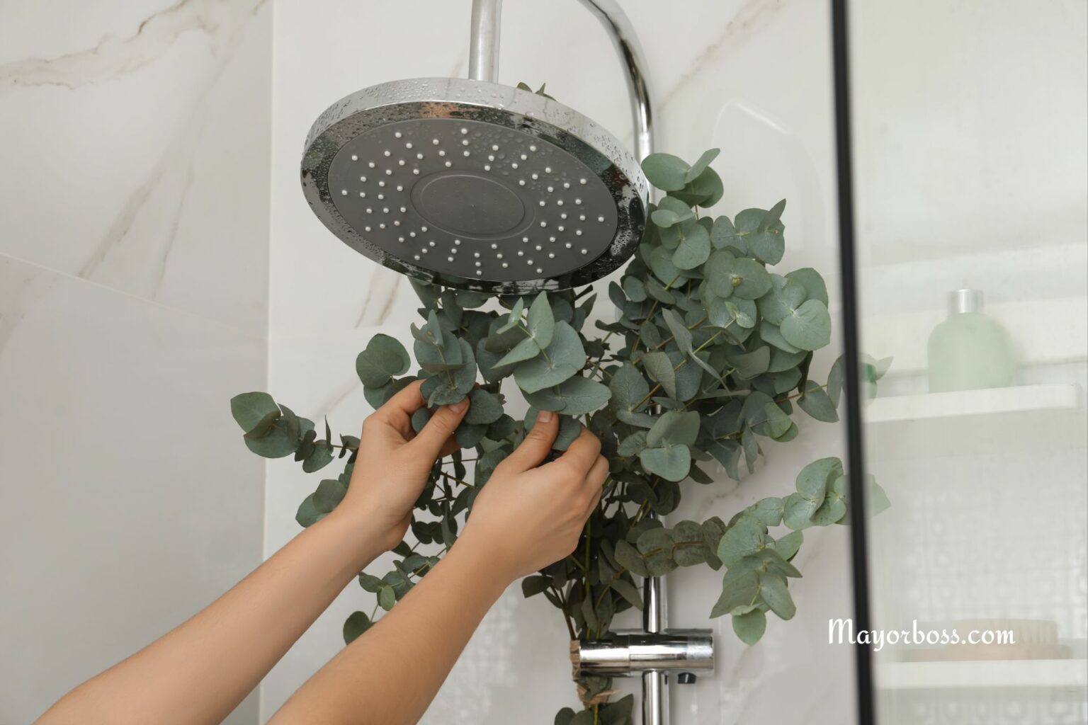Eucalyptus In The Shower This Is Why You Should Shower With A Branch