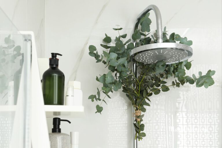 Eucalyptus In The Shower: This Is Why You Should Shower With A Branch