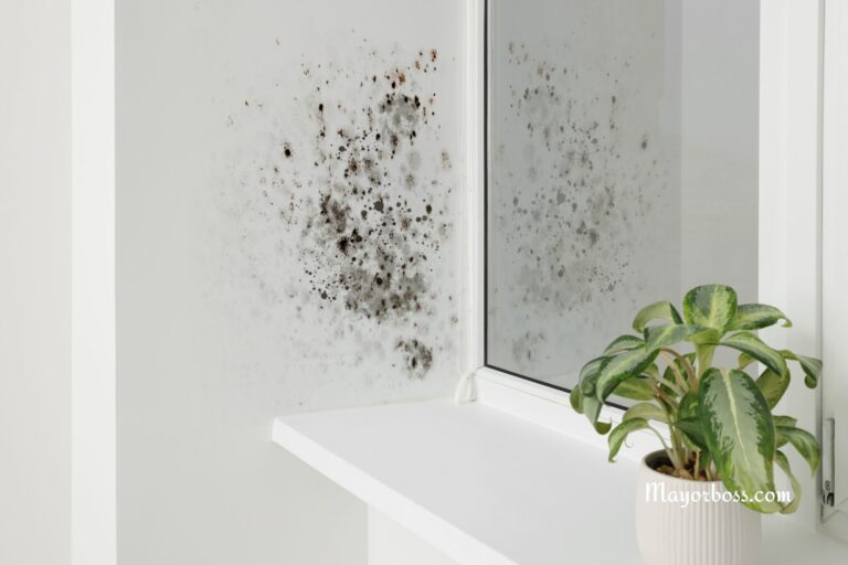 These 3 Houseplants Protect Your Home from Mold