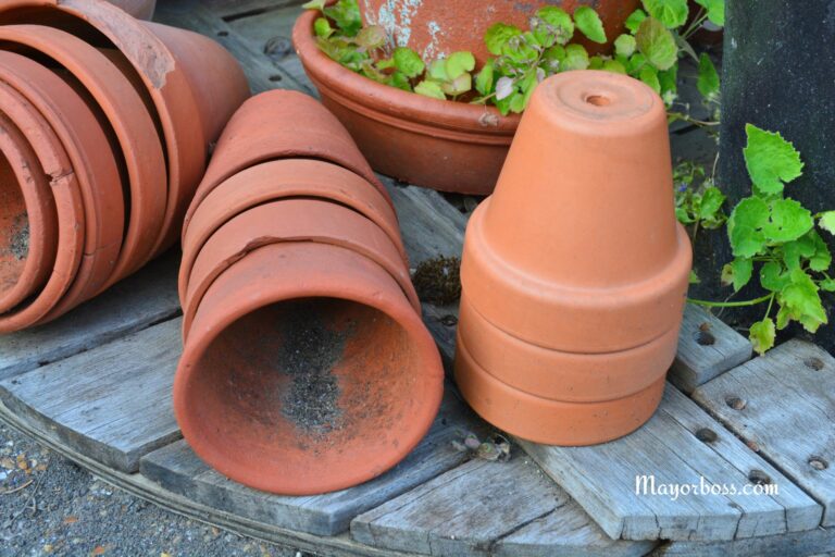 What Are the Holes in Flower Pots For?