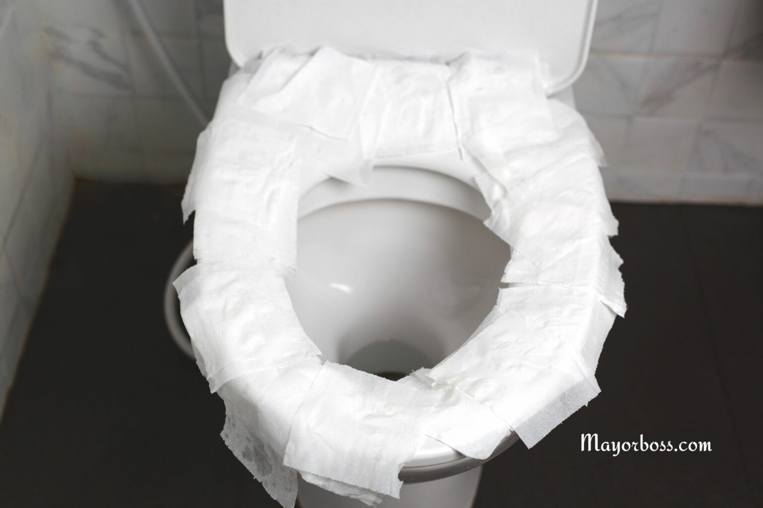Why You Should Never Put Toilet Paper on the Toilet Seat