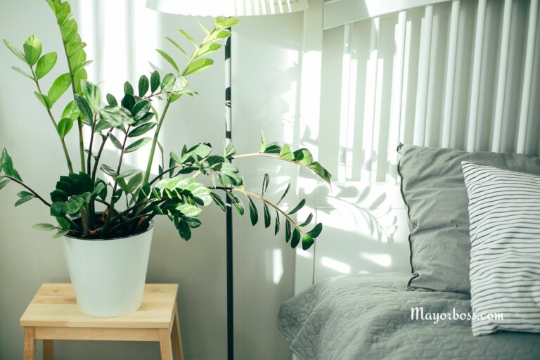 You Should Have These Plants in Your Bedroom