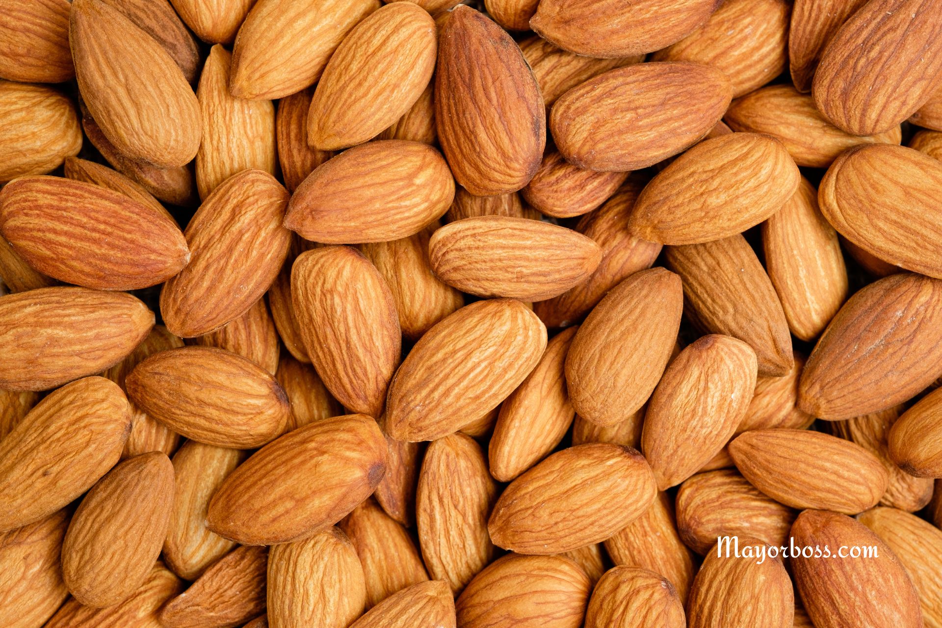 Your Stomach Will Say “Thank You”: 6 Foods That Should Be in Your Daily Diet