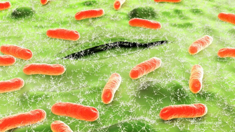 What is E. coli, and How Should I Avoid Infection?