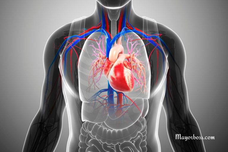 7 Signs That Show Your Heart Is Healthy And Working Fine
