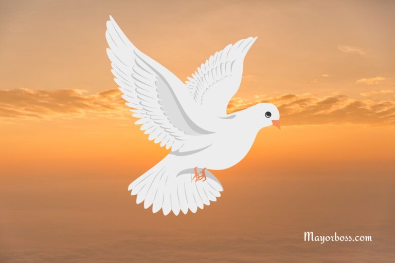 Seven Gifts of the Holy Spirit