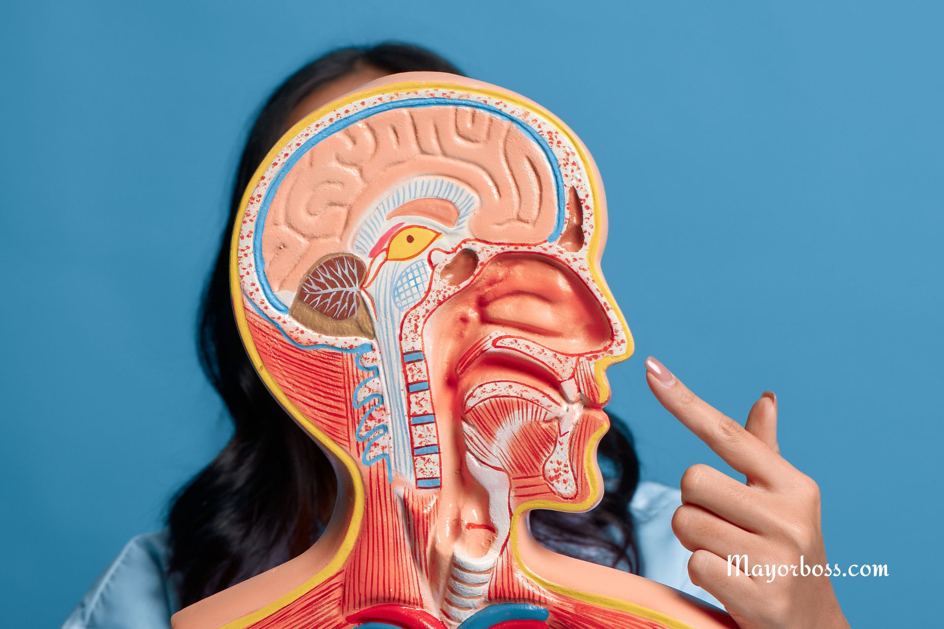 These Are the Only 4 Body Parts That Don’t Stop Growing