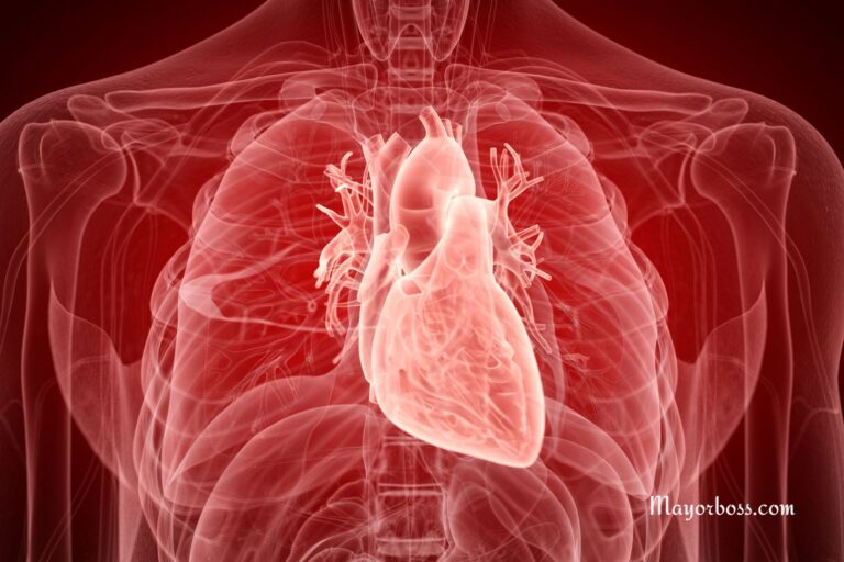 5 Easy Steps to Reduce Heart Attack Risks by 80%