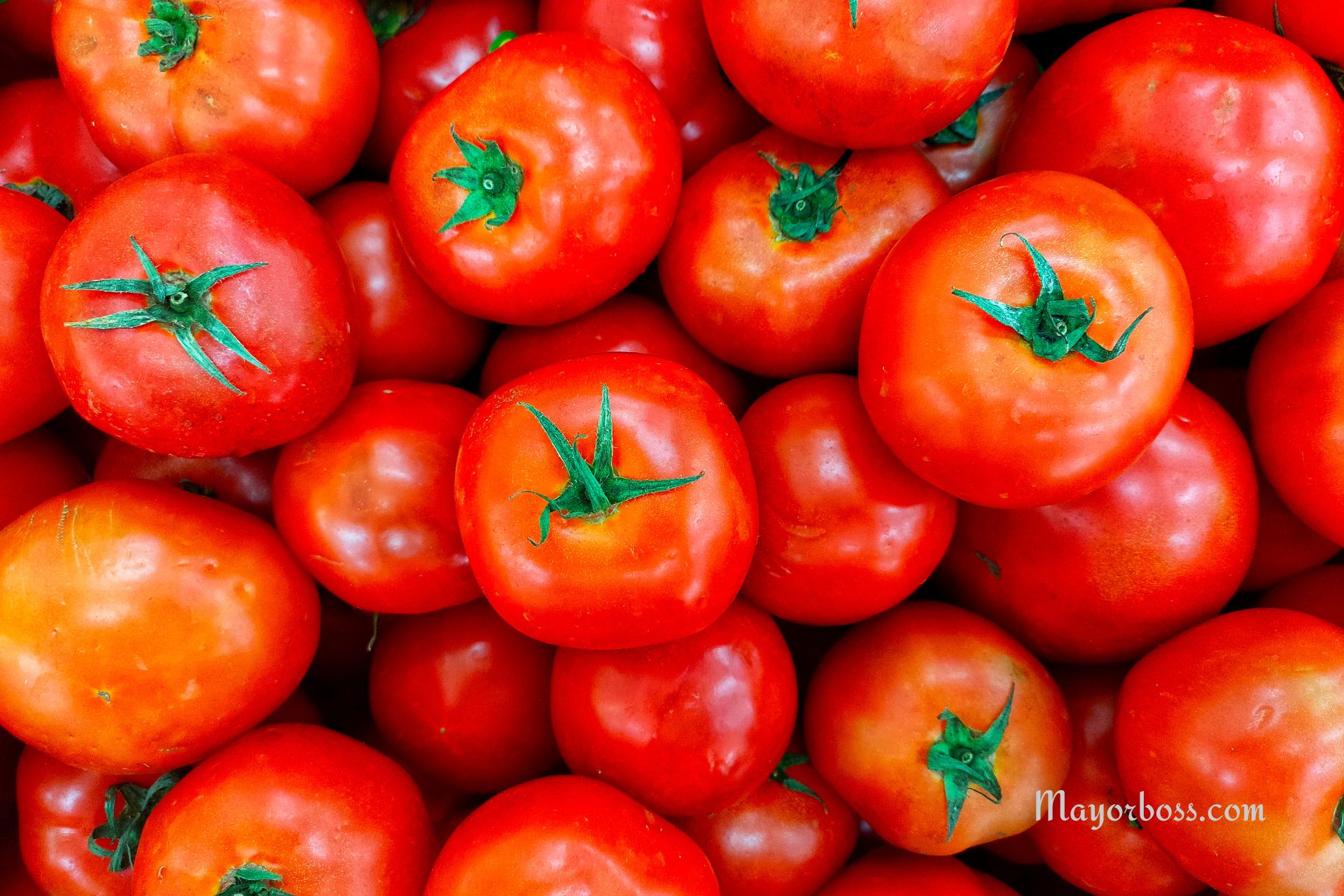 10 Foods That Help Slow Down Aging