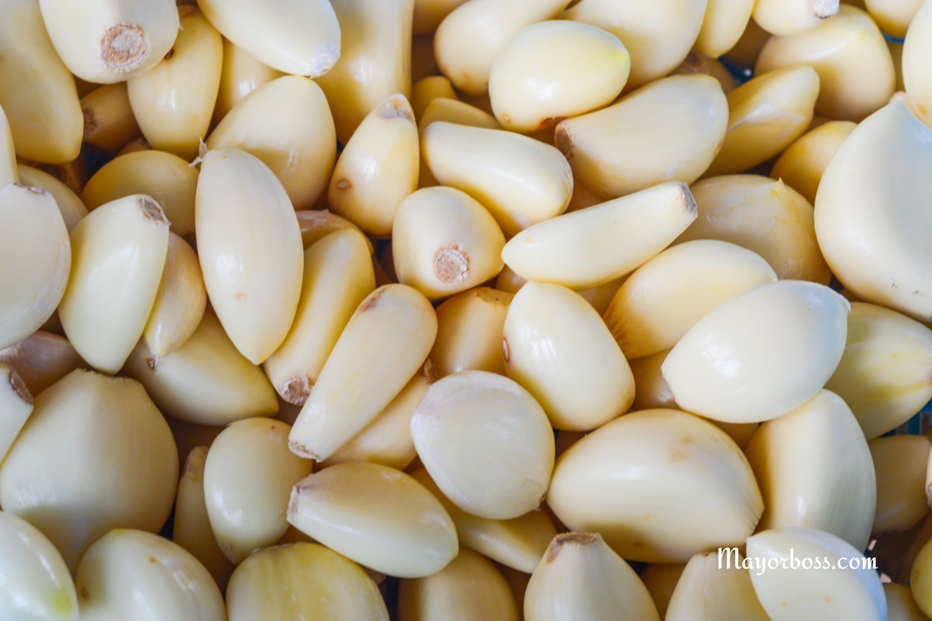 5 Antiviral Foods to Fight Viral Infections