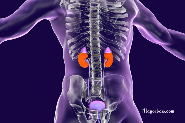 5 Daily Morning Drinks That Help Cleanse Kidney And Liver