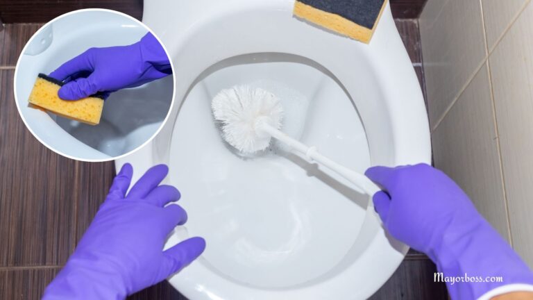 How to Clean a Toilet the Right Way