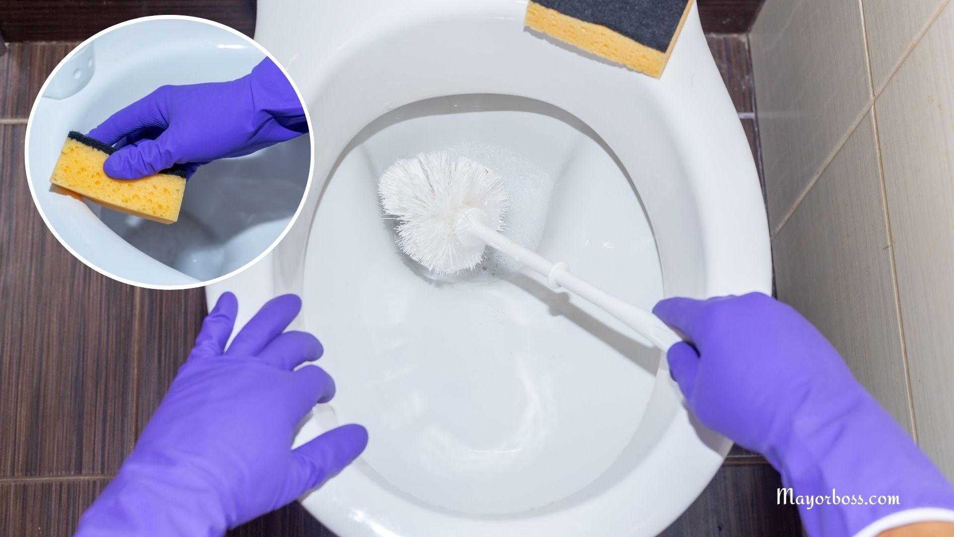 How to Clean a Toilet the Right Way