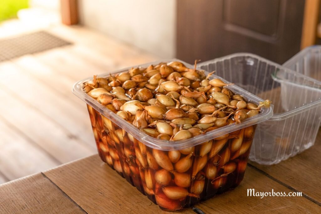 Soaking onion seeds before planting in the ground