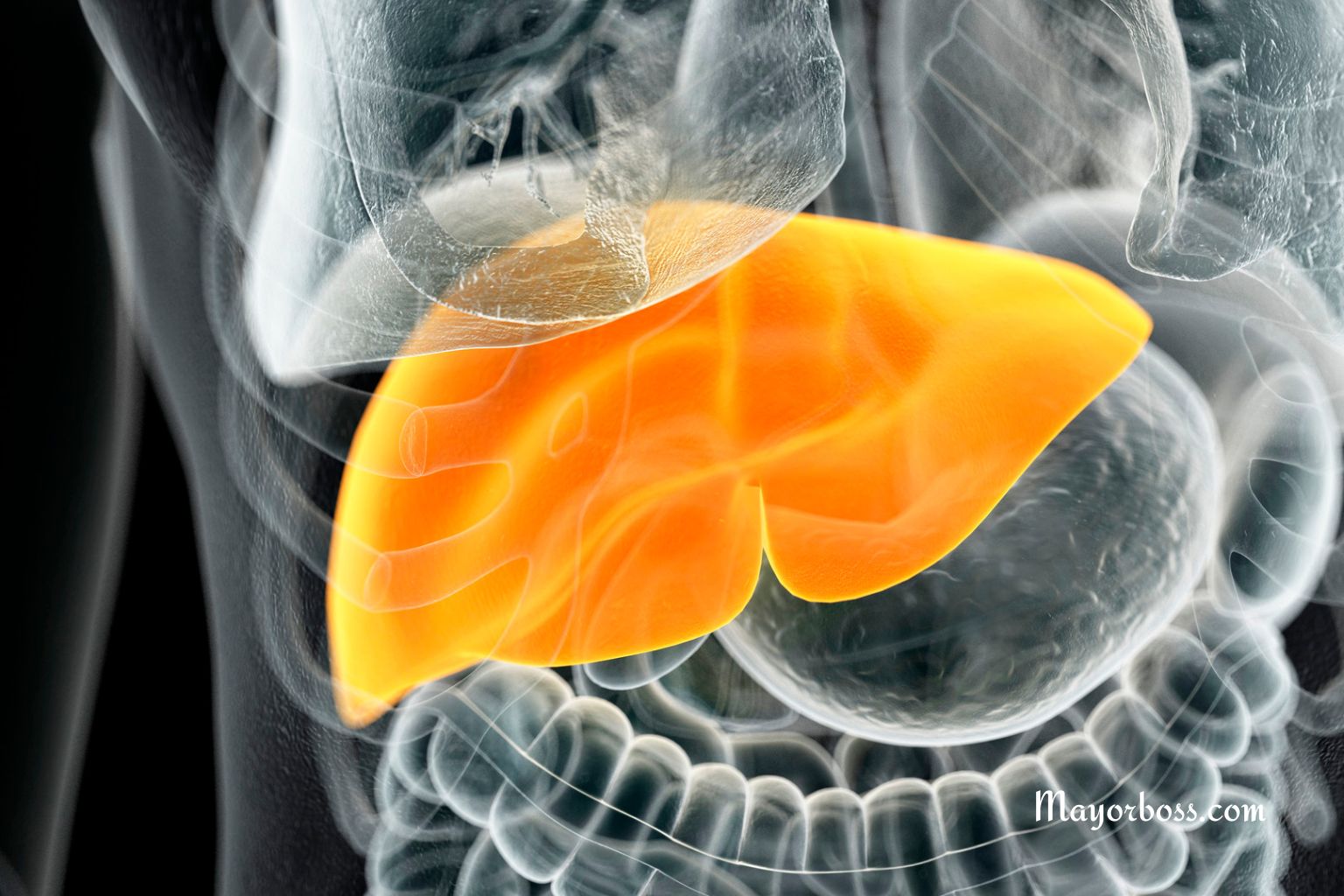 What Destroys the Liver Worse Than Alcohol?