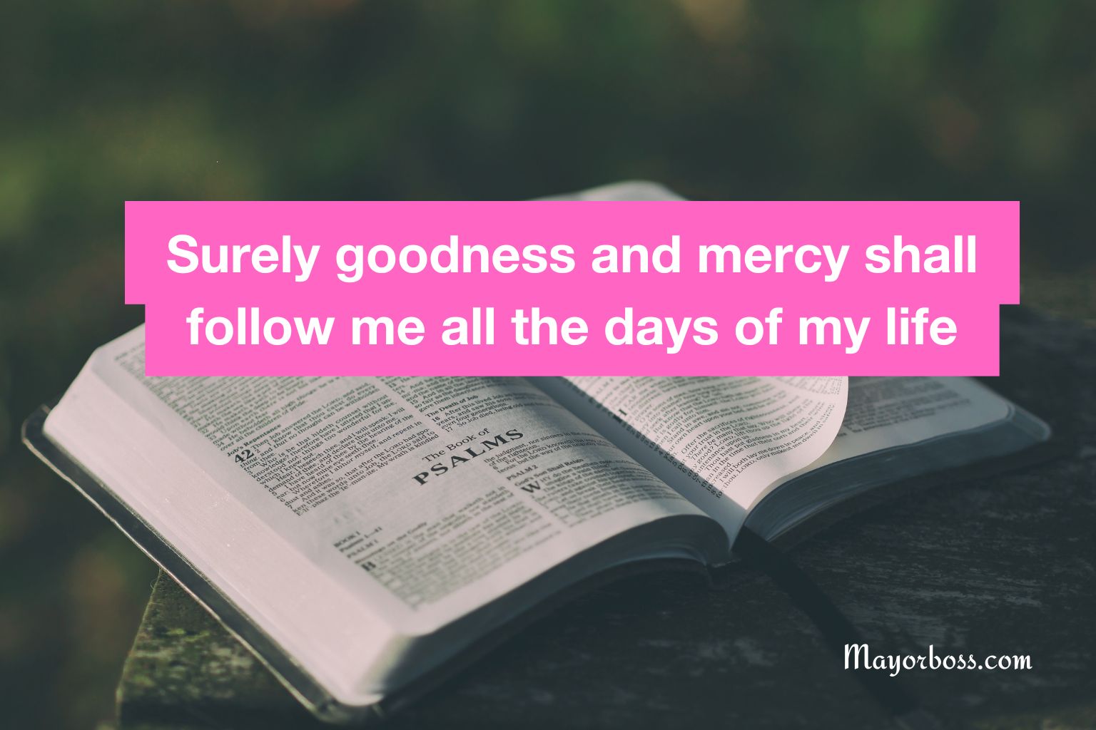 10 Bible Verses about Mercy
