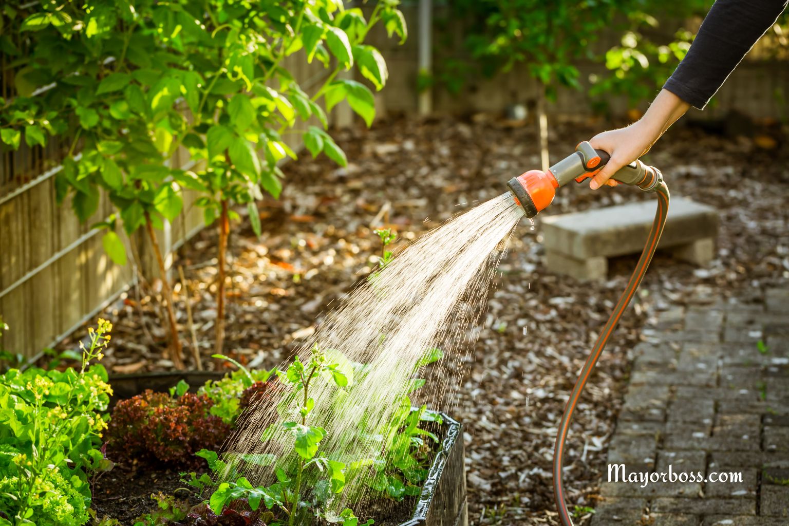 6 Ways to Use Less Water in the Garden (Without Killing Your Plants)