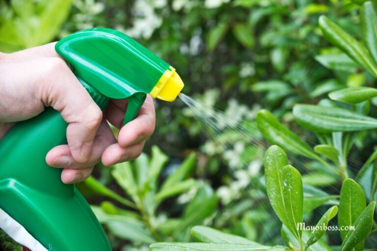 Baking Soda Weed Killer: The Natural Way to Eliminate Weeds Fast
