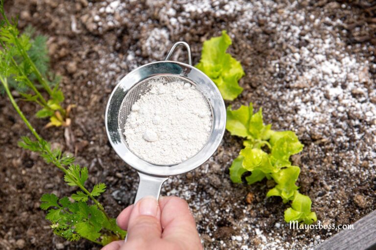 How To Use Baking Soda In Your Garden And When Not To
