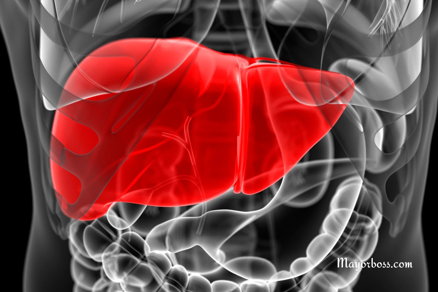 Liver Problems: Symptoms That The Organ Is Not Working