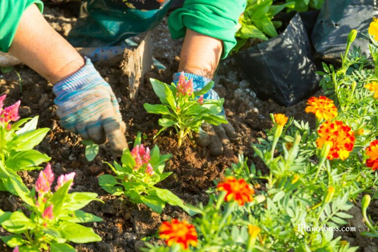 Here’s What 30 Minutes of Gardening Does to Your Body