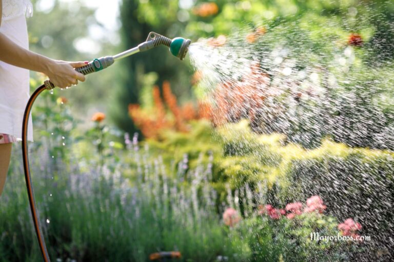 How Often to Water Your Lawn in the Summer for Greener, Thicker Grass