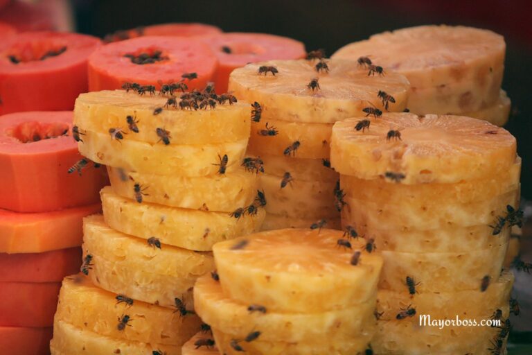 How To Keep Flies Away From Your House