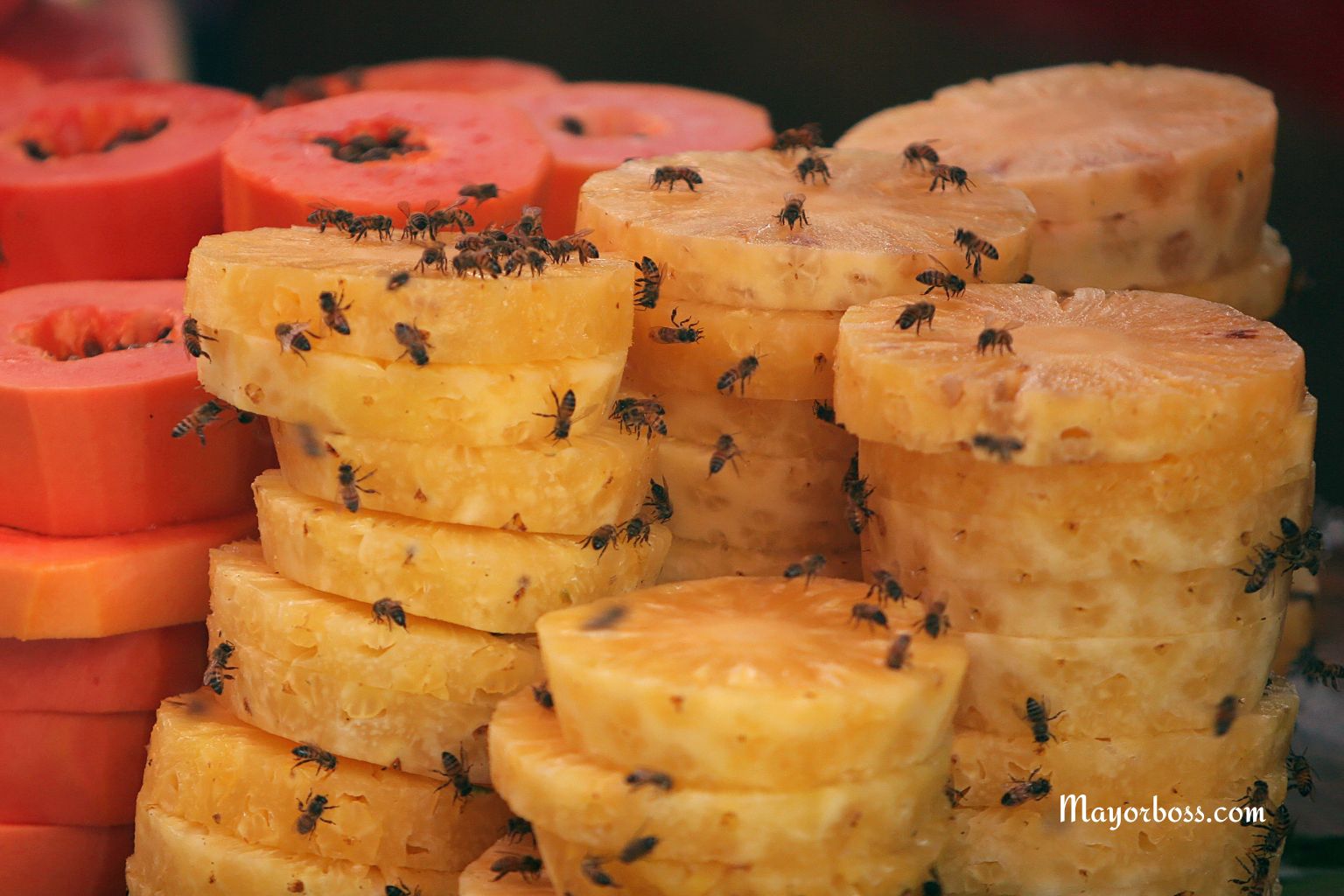 How To Keep Flies Away From Your House