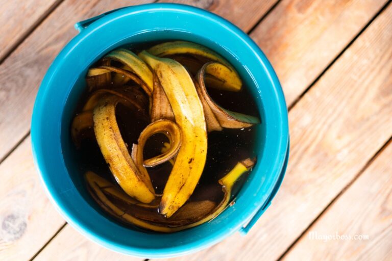 How to Easily and Cheaply Make Fertilizer from Banana Peels