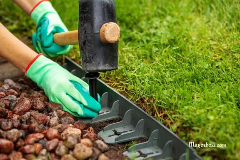 How to Stop Your Neighbor’s Weeds from Invading Your Yard and Lawn