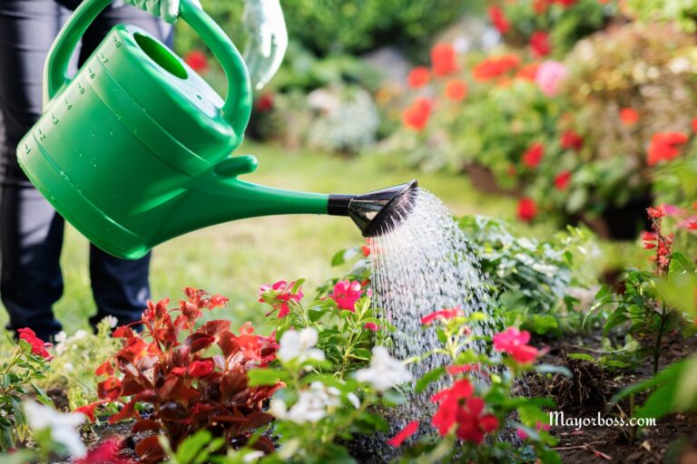 Never Water Your Garden at This Time of Day