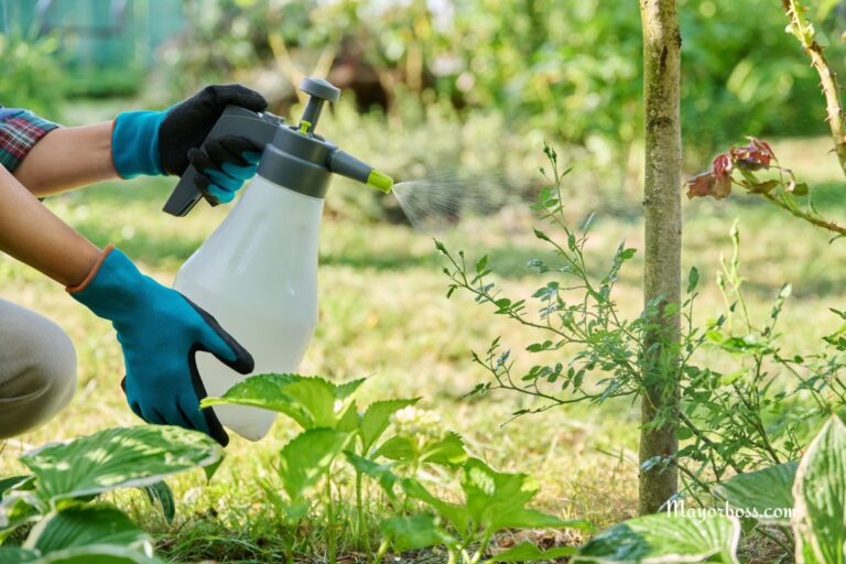Vinegar, Dish Soap and Salt Make a Great Homemade Weed Killer—Here’s How to Use It